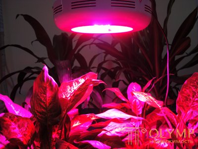 типы ламп для искусственного освещения растений