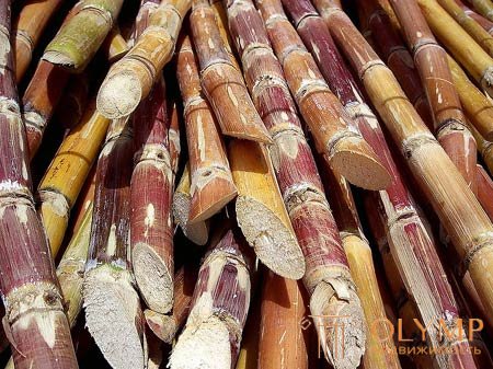  Raw materials for weaving furniture and accessories 