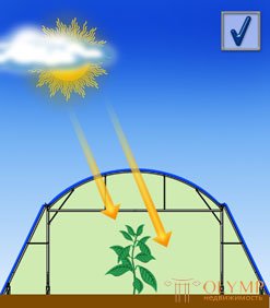   The principle of operation of winter gardens, greenhouses and greenhouses 