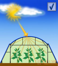   The principle of operation of winter gardens, greenhouses and greenhouses 