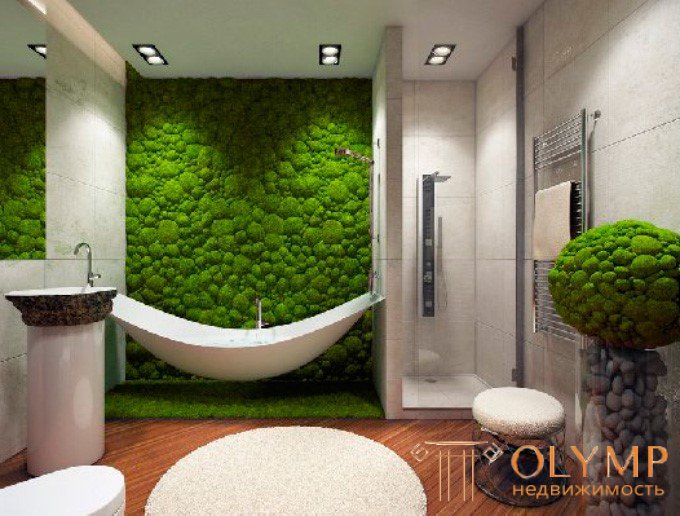   VERTICAL GREENING IN THE INTERIOR APARTMENTS phytopictures and phytopanels 