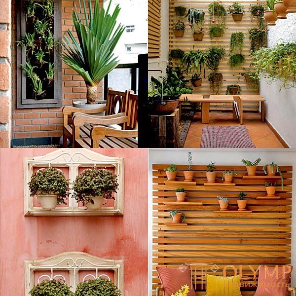   VERTICAL GREENING IN THE INTERIOR APARTMENTS phytopictures and phytopanels 