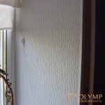   Types and technology of decorative plasters 