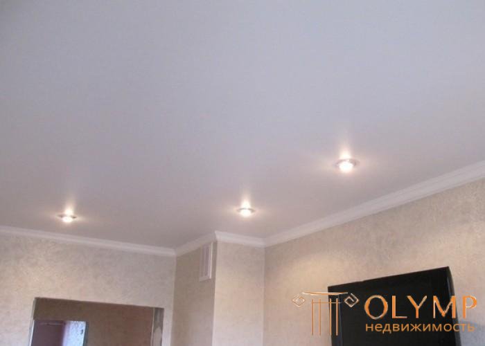   Gypsum board ceiling unit with simple lighting 