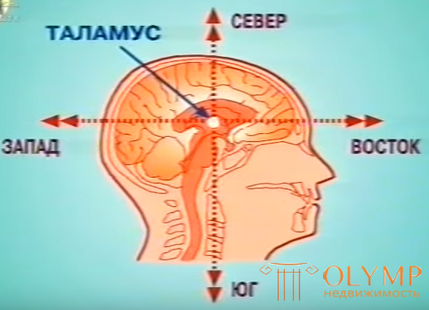 Стхапатья-веда — основы архитектуры