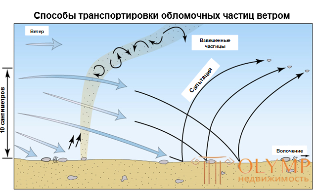 Геологическая работа ветра - Сальтация,Корразия