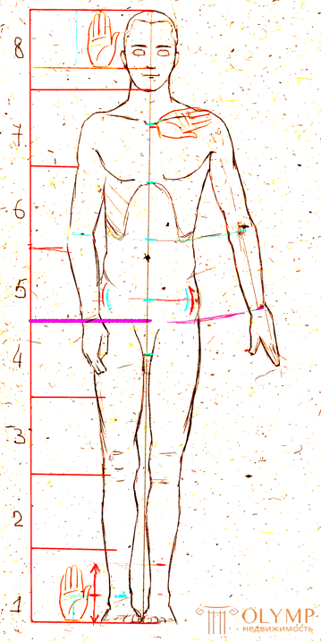 Пропорции и масштаб в рисунке, Метод визирования