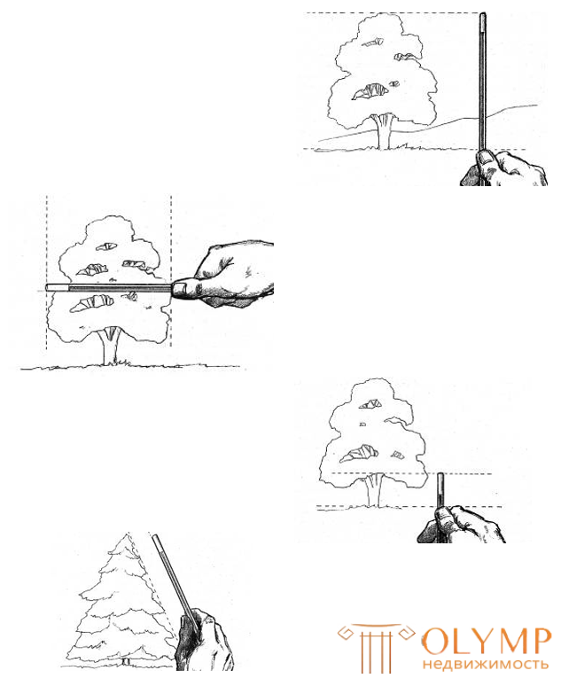 Пропорции и масштаб в рисунке, Метод визирования