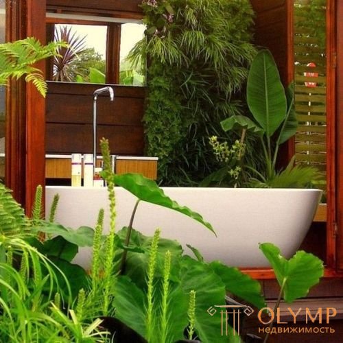   Phytodesign for kitchen, hallway and bathroom 