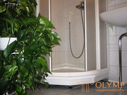   Phytodesign for kitchen, hallway and bathroom 