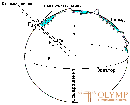 1.4.  The concept of the shape and size of the Earth