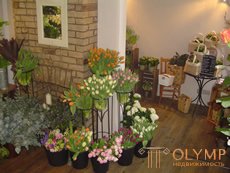   Style your home and flowers 